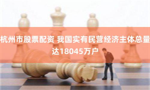杭州市股票配资 我国实有民营经济主体总量达18045万户