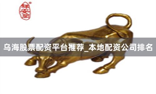 乌海股票配资平台推荐_本地配资公司排名
